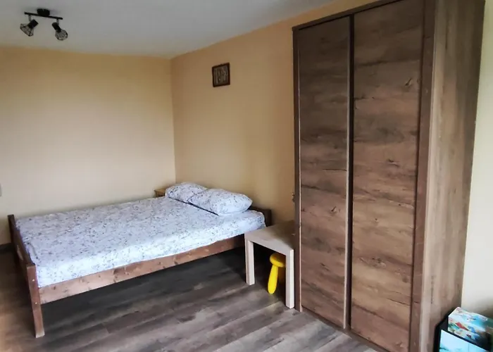 The Dolphin's House *