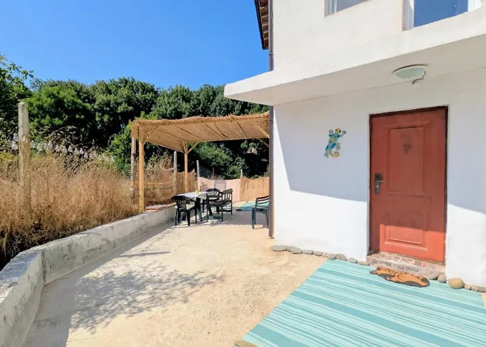 The Dolphin's House *