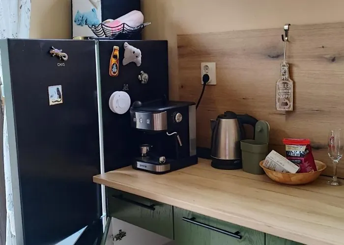 Dom wakacyjny The Dolphin's House